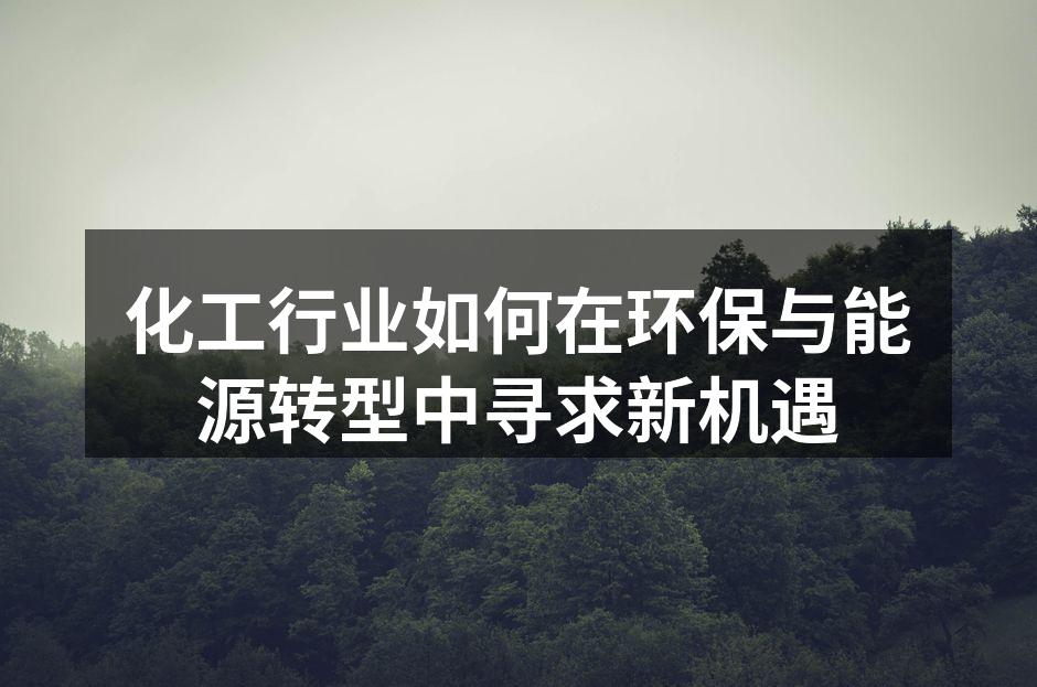 化工行业如何在环保与能源转型中寻求新机遇